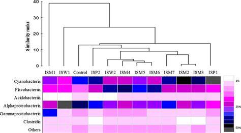 Heat Map Showing The Relative Abundance Of Six Major Classes Of Download Scientific Diagram