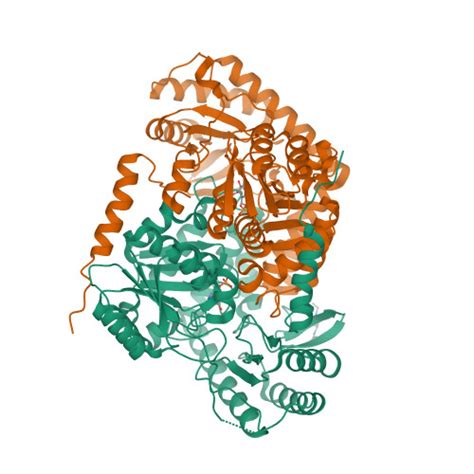 Rcsb Pdb Qrb Pandda Analysis Group Deposition Crystal Structure