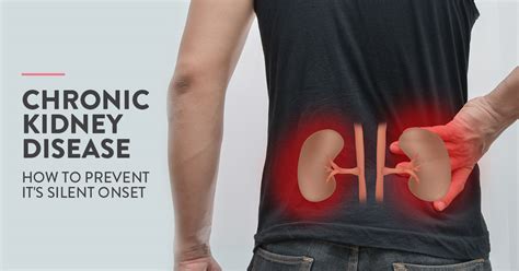 How To Prevent Chronic Kidney Disease