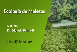 Ecología de malezas