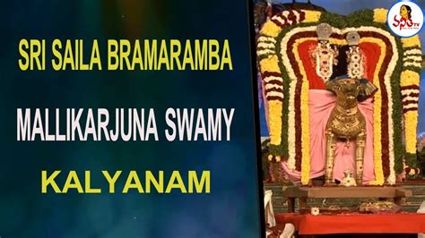 Sri Saila Bramaramba Mallikarjuna Swamy Kalyanam Koti Deeposthavam