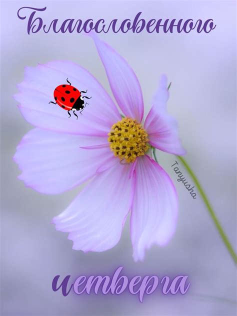 Pin von Елена Сизякина auf Дни недели