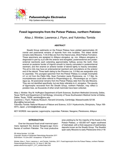 (PDF) Fossil lagomorphs from the Potwar Plateau, northern Pakistan