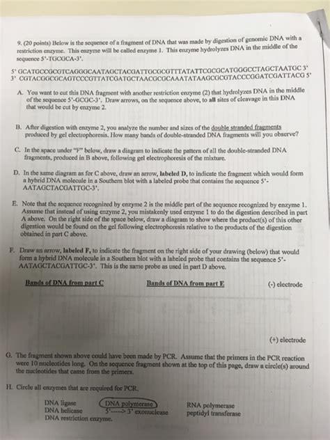 Solved DNA | Chegg.com