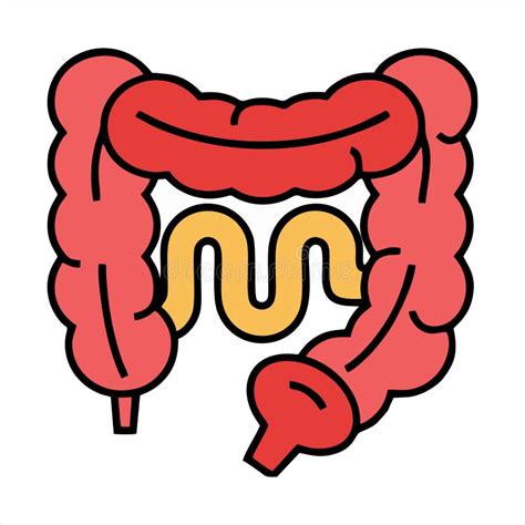 Intestines Icon Isolated On White Background From Medical Services