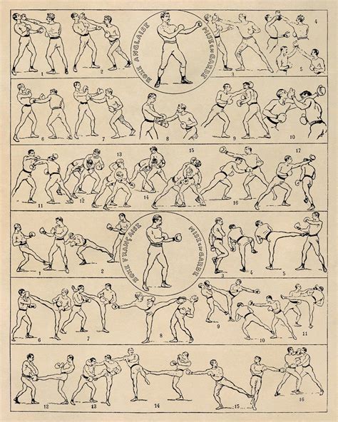 Vintage Boxing Poster, Boxing Styles and Techniques Training Chart, Premium Reproduction Print ...