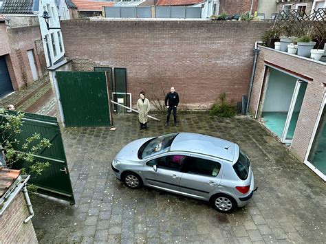 Mooi Plantaardig N Profile Van Den Driest Breiden Uit In De