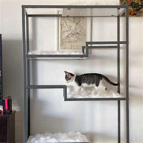 The 11 Best Cat Trees Of 2024 Tested And Reviewed