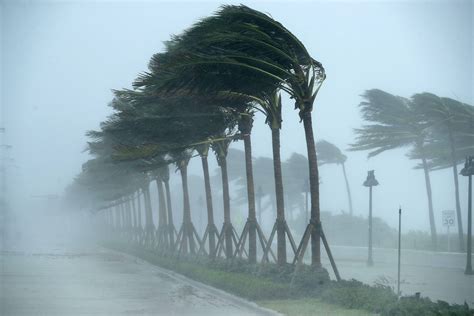 Irma Now A Tropical Storm Leaves Six Million Without Power In Florida