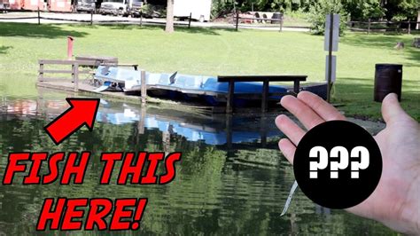 Catch MORE Bass Pond Fishing With THESE Tips Bass Manager The Best