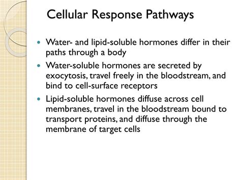 PPT Chp 45 Hormones The Endocrine System Review Chp 11 Cell