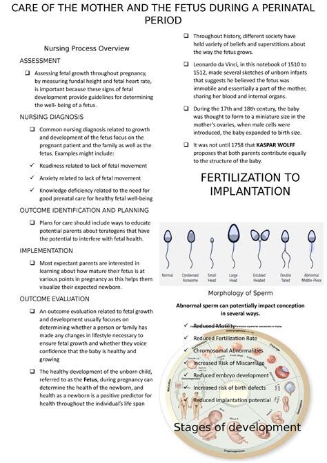 Care Of The Mother And The Fetus During A Perinatal Period