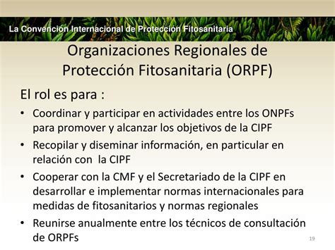 PPT La Convención Internacional de Protección Fitosanitaria CIPF