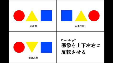 Photoshopで画像を上下左右に反転させる変形photoshop逆引き辞典 ｜デザインを深掘り Mdn