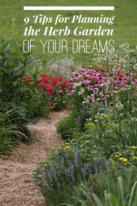 9 Tips For Planning The Herb Garden Of Your Dreams Chestnut School Of