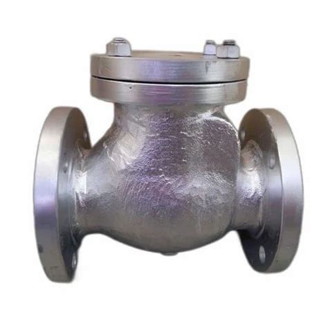 Stainless Steel SS Swing Check Valve Size 40mm At 3510 In Ahmedabad