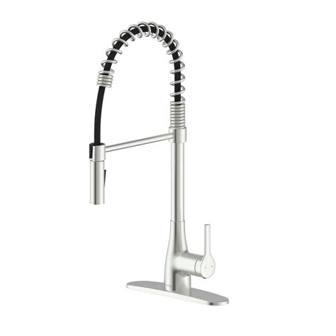 Bio Bidet Flow Kitchen Faucet With Pull Down Sprayer Classic Spring