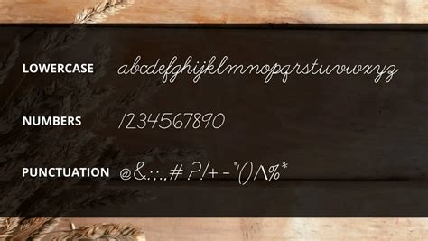 Abc Cursive Font Free Download