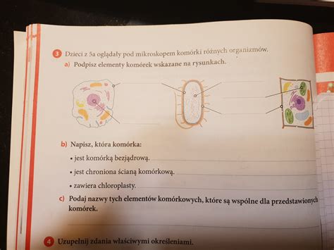 podaj nazwy tych elementów komórkowych które są wspólne dla