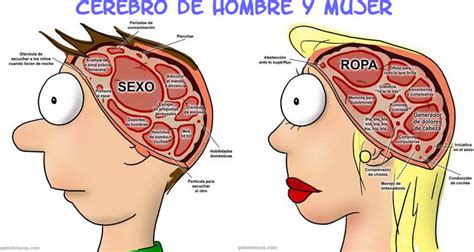 Diferencias Mujeres Hombres Vip Bored Guays