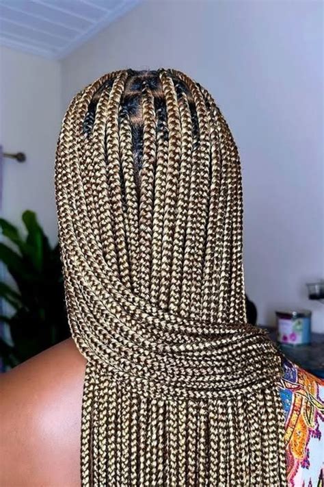 Stunning Black And Blonde Braids For Glam Trove