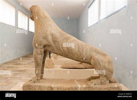 One Of Original Lions Of The Naxians Inside Delos Museum Delos