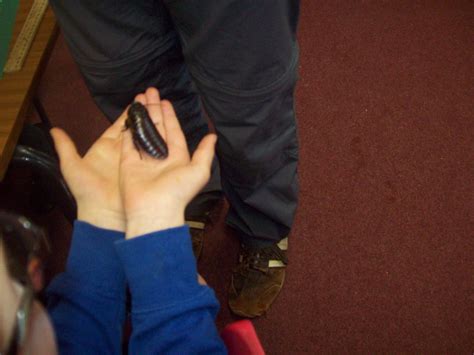 Zoo Lab visited today | primary3and2