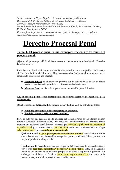 Importante Apuntes Derecho Procesal Penal Susana Álvarez de Neyra