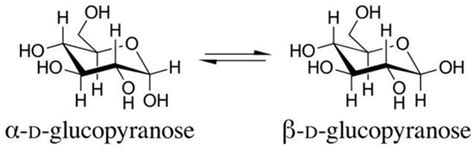 Foods Special Issue Bioactive Polysaccharide From Plant Foods Structures Physicochemical