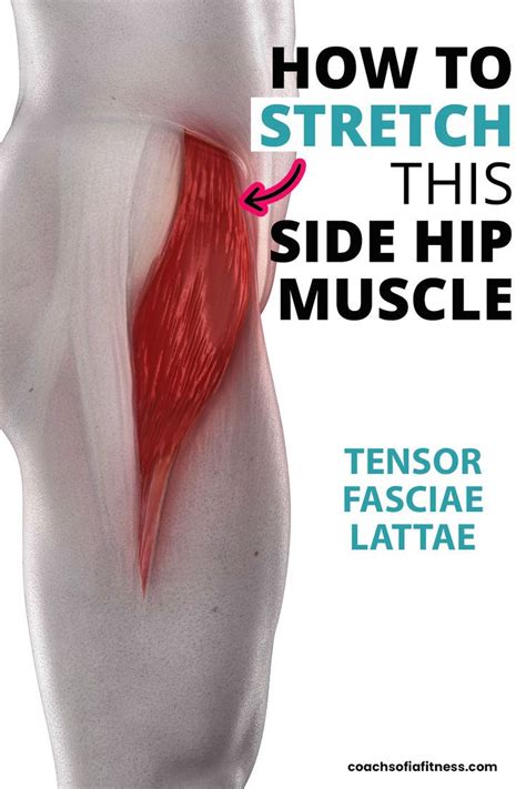 How to Stretch Tensor Fasciae Latae (TFL) One Quick Stretch in 2024 | Hip pain relief, Tensor ...