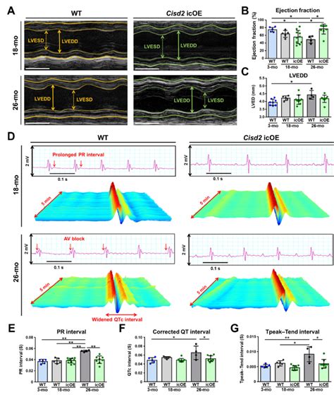 Cardiac Specific Overexpression Of Cisd2 At A Late Life Stage Rescues