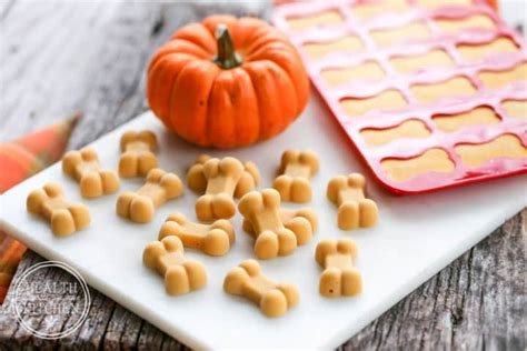 11 Healthy Pumpkin Dog Treat Recipes - PlayBarkRun