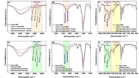 Atr Ftir Spectra Of W W Nacl And W W Sds Desorbed Fouled