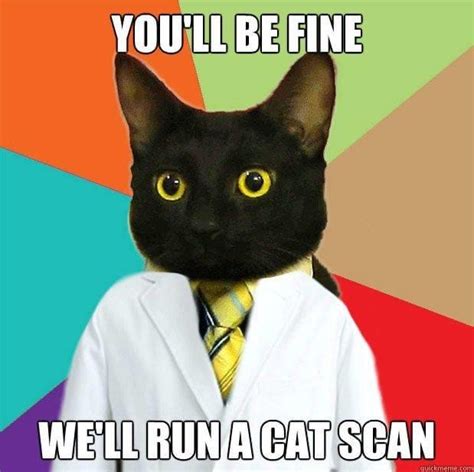 You Will Be Fine We Will Run A Cat Scan – Wacky Memes