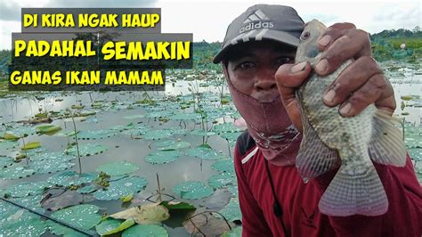 Semakin Ganas Aja Spot Lama Mancing Liar Youtube