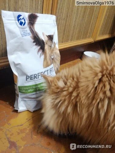 Сухой корм для стерилизованных котов и кошек Perfect Fit - «Хороший ...