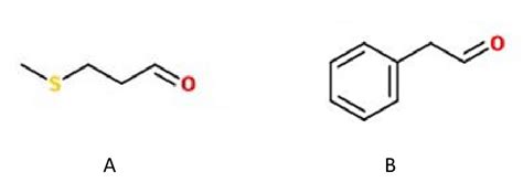 11 Strecker Aldehydes A Methional B Phenylacetaldehyde Download Scientific Diagram