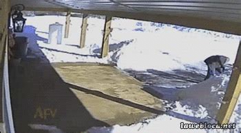 Snow Fall GIF - Find & Share on GIPHY