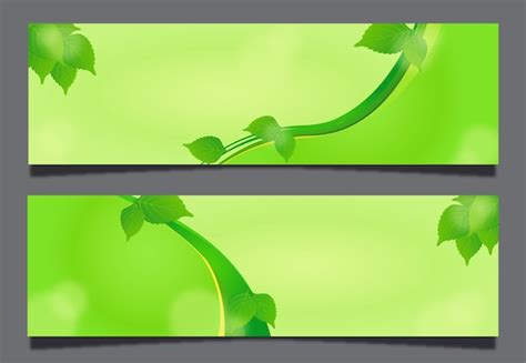 Premium Vector | Green leaf background banner