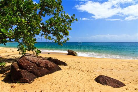 Masoala Beach Rocks Stock Photo Image Of Landscape Color 53083298