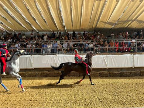 Palio di Asti 2023 bis - Foto, Photogallery