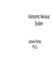 04 Autonomic Nervous System Video PPT 1 Pdf Autonomic Nervous System