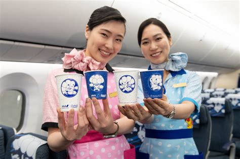 Ana Pikachu Jet Hostesses Special Uniforms