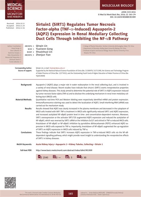 PDF Sirtuin1 SIRT1 Regulates Tumor Necrosis Factor alpha TNF α