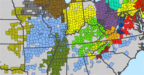 This Map Shows WHere Periodic Cicadas Will Emerge in 2021