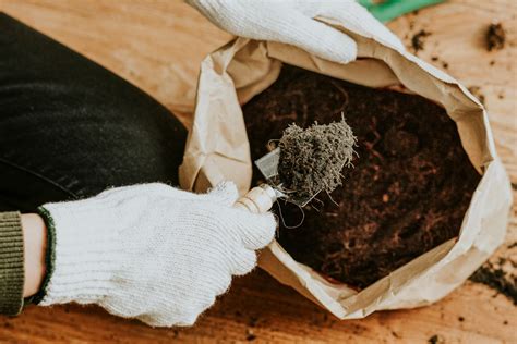 ¿cómo Hacer Abono Casero Orgánico O Compost ※ Huerto360