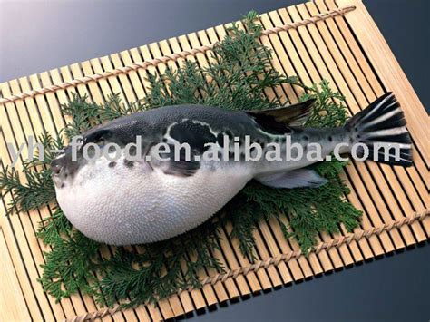 frozen globefish,China Yuehai price supplier - 21food