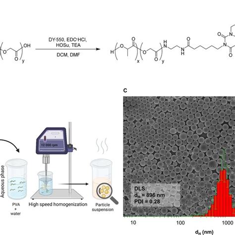 Polymer synthesis and particle formulation. (A) Schematic... | Download ...