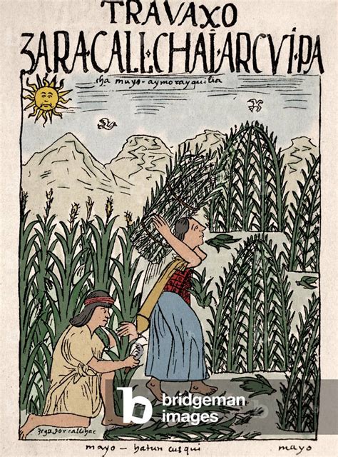 Image Of Inca Empire Inca Peasants Working In The Fields In May By