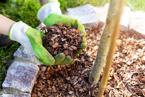 How To Prevent Mulch From Blowing Away 5 Proven Methods Flourishing